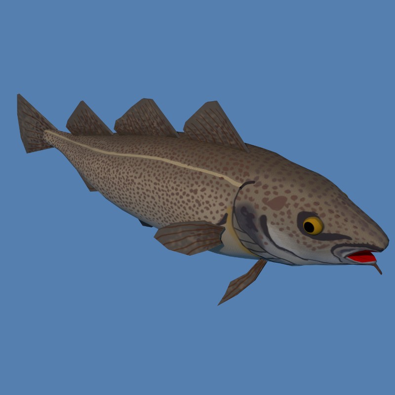 Codfish preview image 1